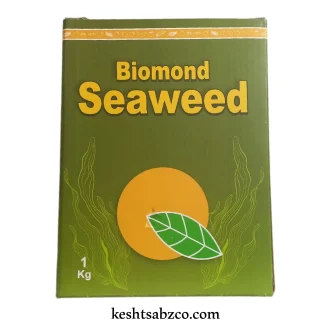 جلبک دریایی یک کیلویی قوطی بهسم