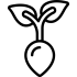plant_14964115